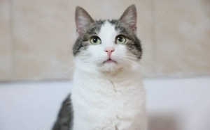 Leni sucht endlich ein neues Zuhause voller Liebe