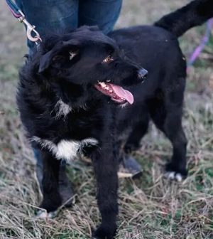 Mayu, Black ist beautiful!