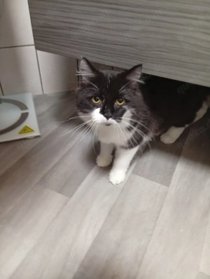 geschwister paar max und elfi 