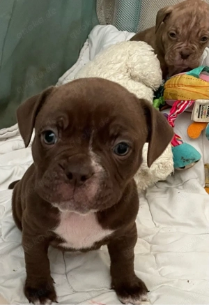 Ab April zuhause gesucht 