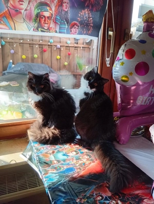 geschwister paar max und elfi 