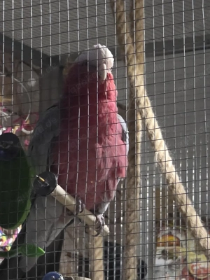 Ein Heim für immer!!!!