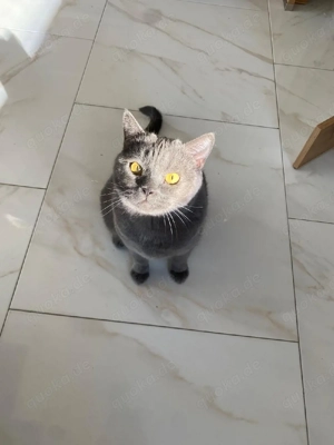 Dringend BKH Pärchen 