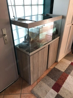 Aquarium 240 Liter mit Möbel Schrank und viel Zubehör wegen Umzug abzugeben
