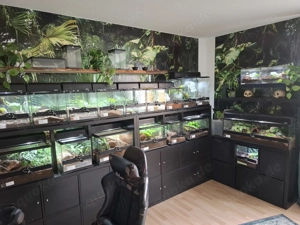 Zur kostenlosen abholung!