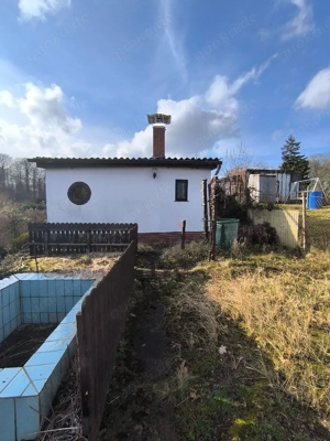 Kleingarten in Bad Doberan Bild 5