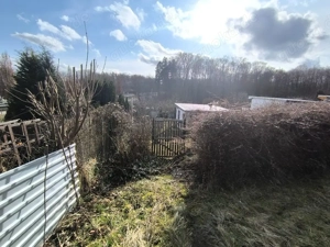 Kleingarten in Bad Doberan Bild 3