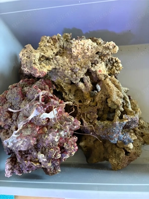 Lebendgestein ca. 10kg