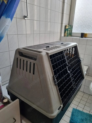 Hundetransportbox
