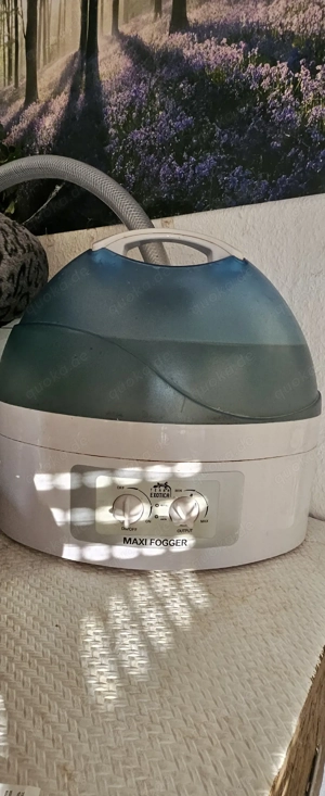 Terrarium mit Tieren und Zubehör 