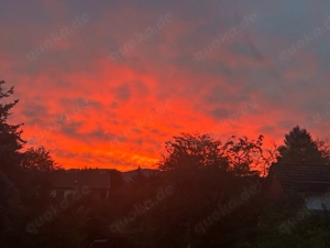 Reinigungskraft gesucht, Wir suchen eine zuverlässige Reinemachefrau für einen gründlichen Großputz 