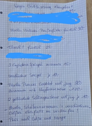 Meerwasser Aquarium Auflösung Fische Korallen