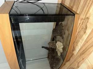 Juwel Vision Aquarium 260 