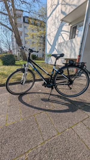 Pegasus Damen Fahrrad 