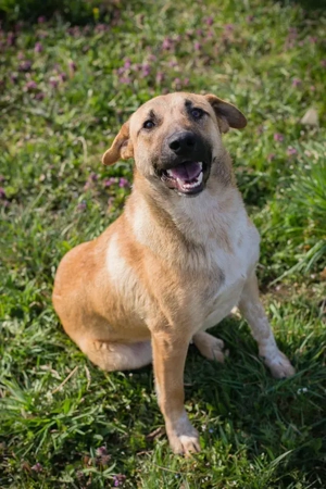 *FLIPER* - Bein gebrochen, alles wieder gut. 