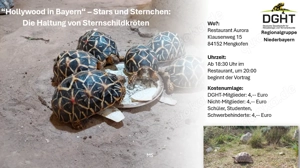 Hollywood in Bayern    Stars und Sternchen:  Die Haltung von Sternschildkröten