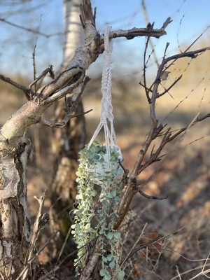 Handgemachte Makramee Blumenampel 65 cm natur | Boho | Scandi