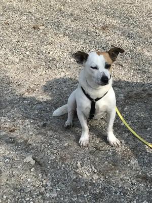 Sensibler, kleiner Nougat .......