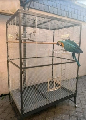Große Voliere Käfig 