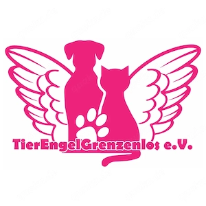  Helfer & Transporter für Tierschutz-Einsatz gesucht (Rumänien)