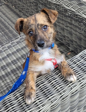 Kleiner Sonnenschein Nilas.......