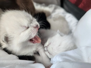 Jetzt schnell sein und reservieren   