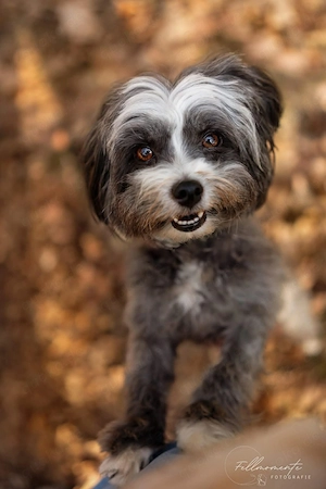 Ebony - freundlich&aktiv