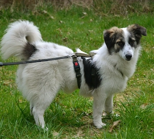 Pünktchen - eine feinfühlige Entdeckerin