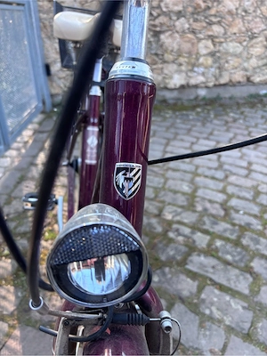 Hercules Damenfahrrad Viberty