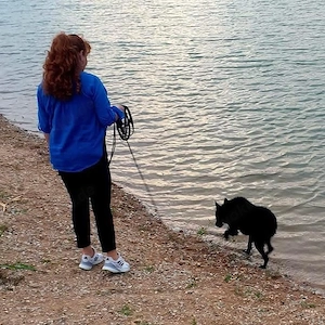 Chuck, gut erzogener und bildhübscher Kroatischer Schäferhund Bild 7