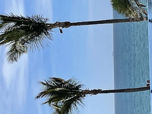 Ob Klaus, ob Jürgen oder Hans: Wer zeigt mir seinen ?