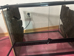 Terrarium zu verkaufen 