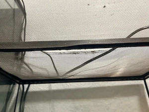 Terrarium zu verkaufen 