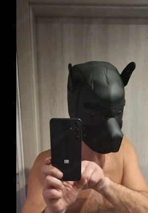 Pupplay spiel gegen Bezahlung. 