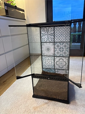 exo terra terrarium mit kronengecko 