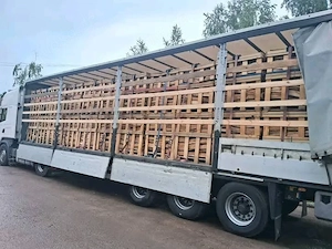 trockenes, sofort einsatzbereites Brennholz