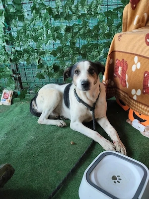 Opi sehnt sich nach Liebe  