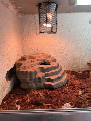 3D-DRUCK Terrarium  Terraristik Zubehör 