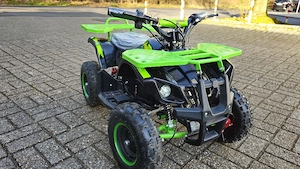 ECO TORRINO 800Watt Pocketquad