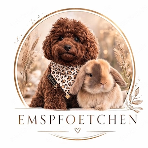 Wunderschöne Toypudel   Zwergpudel Welpen sind unterwegs!