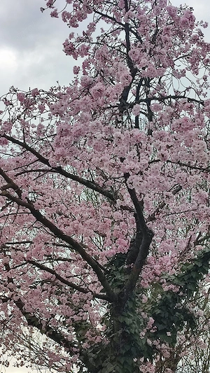 Unternehmungen für Körper und Seele 
