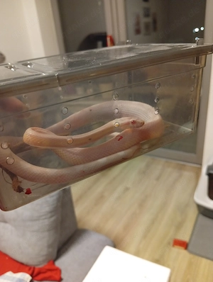 Diese 3 Süßen Mädchen und alle 3 sind jetzt 1 Jahr alt 