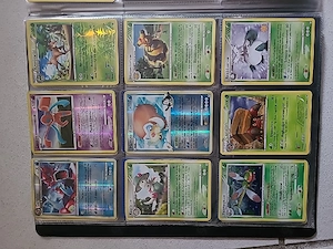 pokémonkarten Sammlung