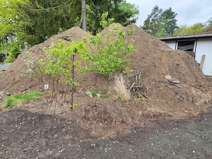 Erde zu verschenken   Mutterboden   Oberboden   Sand-Lehm-Gemisch