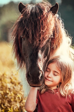 Pferdekurse für Kinder  Bild 2