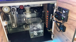 Schönes Meerwasser Aquarium