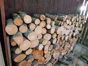 Brennholz Buche frisch 90 ,  Fichte vorgetrocknet ab 45   je Ster,Raummeter