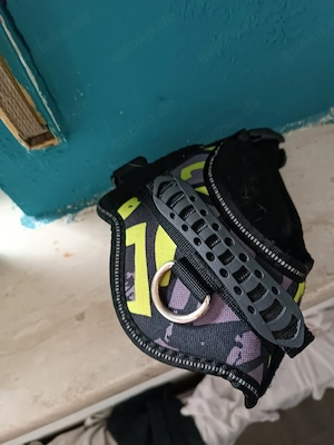 Buntes Hundegeschirr, verstellbar