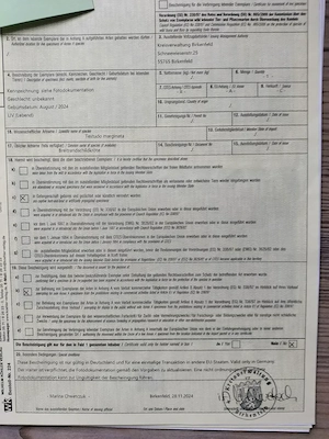 Landschildkröten Testudo marginata Breitrandschildkröte