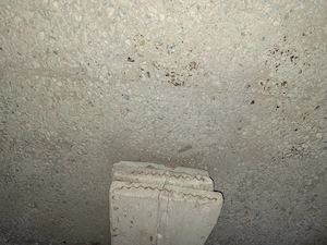 Diele Gerüstdielen-Maurerdielen 3 Stück Bild 2